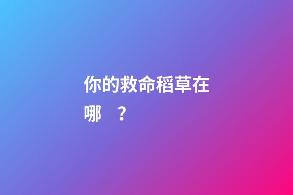 你的救命稻草在哪？
